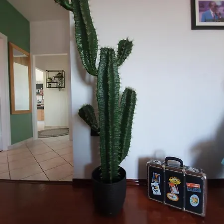 New! Gambinno Apartment, Centre アパート